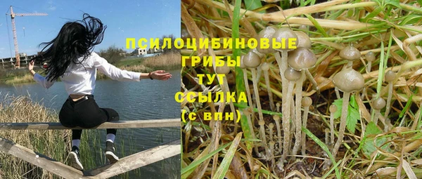 герыч Аркадак