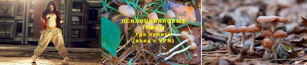 герыч Аркадак